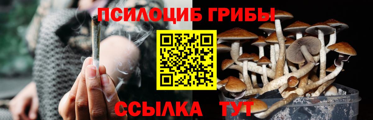 Псилоцибиновые грибы Cubensis  Псилоцибиновые грибы MAGIC MUSHROOMS  Вход с VPN  Тихвин 