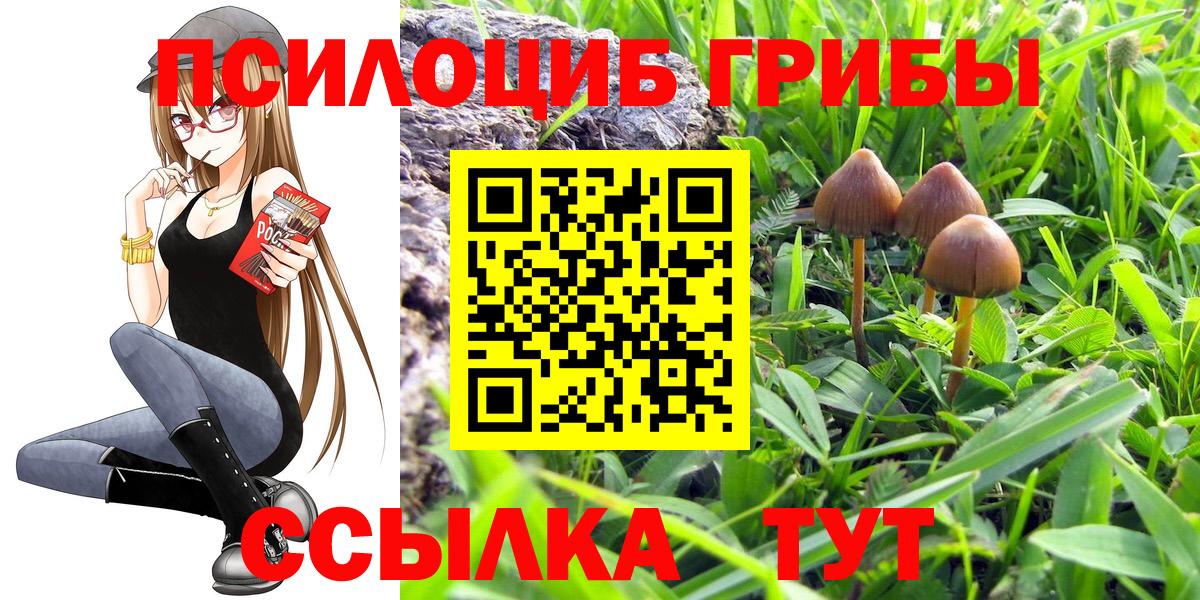 Галлюциногенные грибы MAGIC MUSHROOMS Тихвин